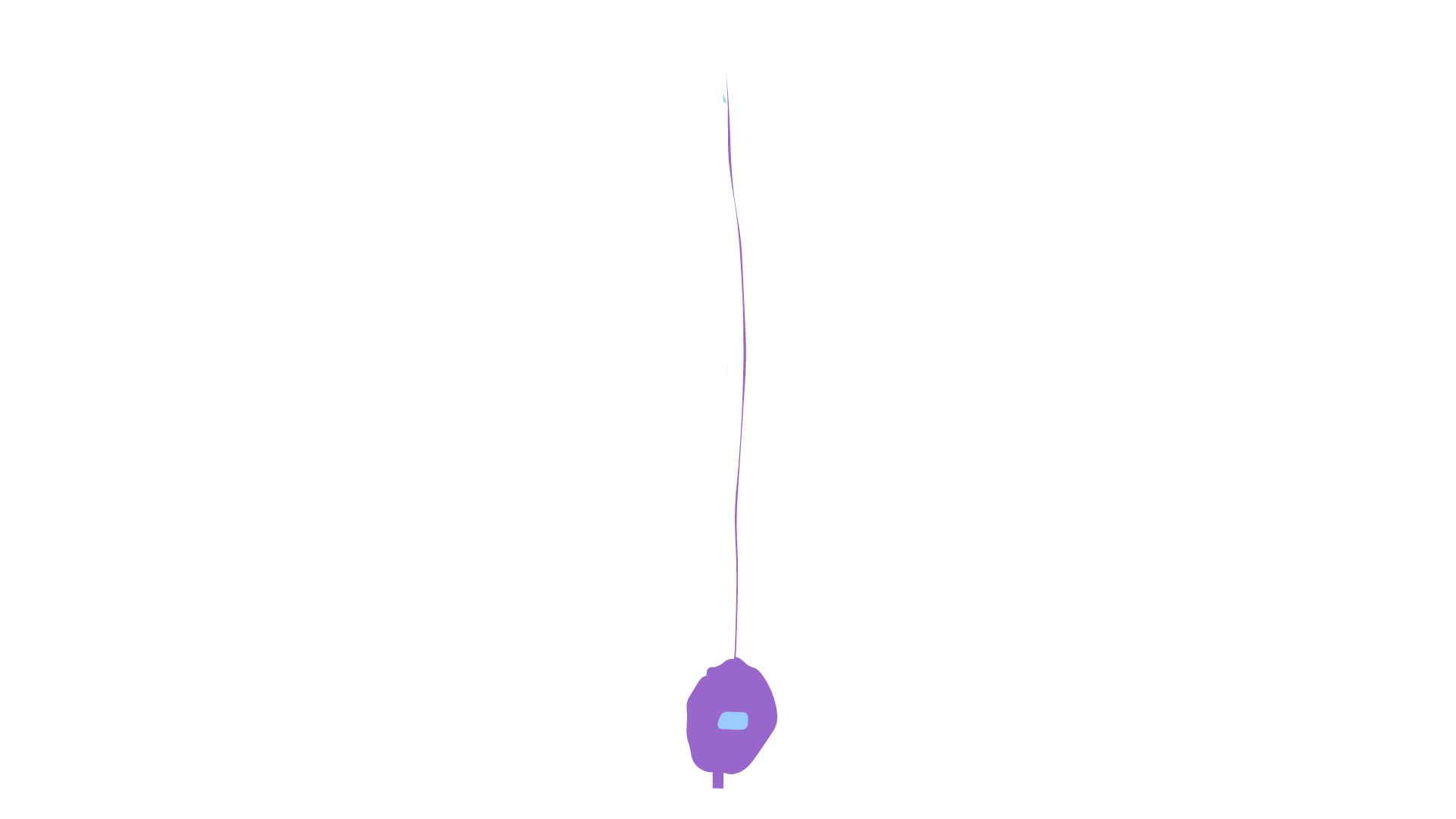 MCCC2DPendulum